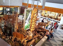 Exposition of the Tatra Nature