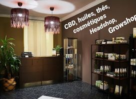 Misty Green Wiltz CBD Shop - Luxembourg
