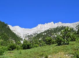 Mount Olympus
