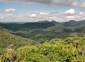 Intervales State Park