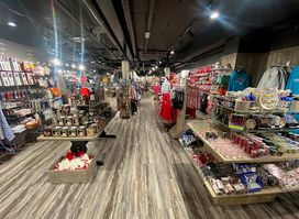 The Northern Lights Giftshop & Cinema