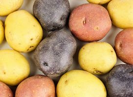 PATATES ANDORRA