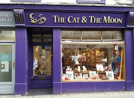 The Cat and The Moon