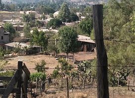 Abarrote Sofía