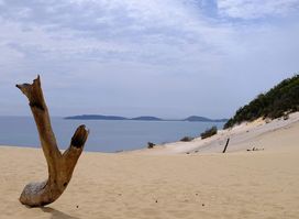 Cooloola Great Walk
