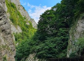 Cheile Râșnoavei