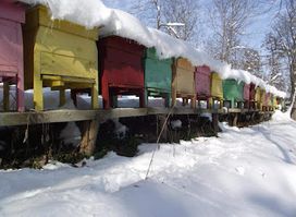 Honey House Zarapovo
