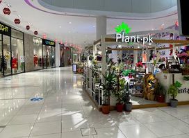 Packages Mall