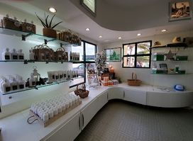 Aruba Aloe Factory Museum and Store