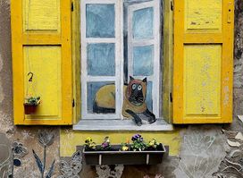 Yard Gallery