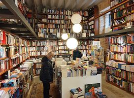 Librería Luz Y Vida