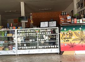 Cannabis Cafe (Art for All)