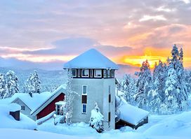 Røyland Gård AS