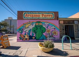 Arizona Poppy