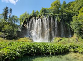 Veliki prštavac