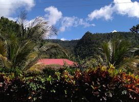 Papillote Tropical Gardens