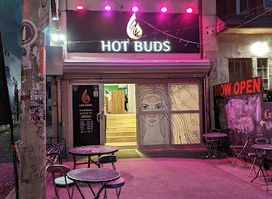 Hot Buds