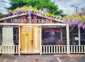 Urban Cottage