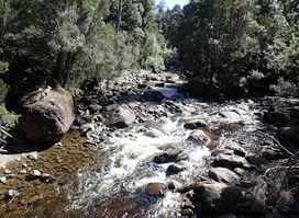 Lake St Clair National Park