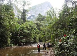 Mulu National Park Entrance