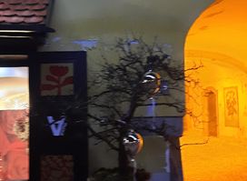 SHOPek, spletna prodaja cvetličarskih izdelkov, Andreja Lah s.p.
