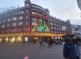 Maje Galeries Lafayette - Strasbourg