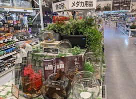 Super Viva Home Ichinomiya