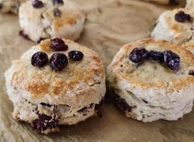Barking Dogs Bakery