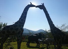 Vumba Gateway Gardens and Curios