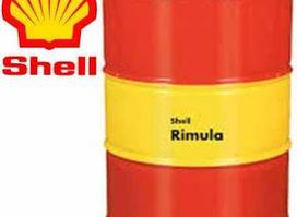 Bismark Dorkyard(RD Fishing PNG Ltd) Shell Marine Products.