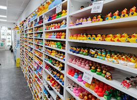 Shrewsbury Duck Store