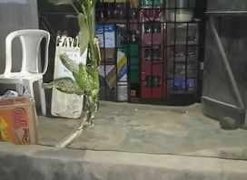 Favour Shop (Mr. Emmanuel Essenetuk alias Conversion's Shop)