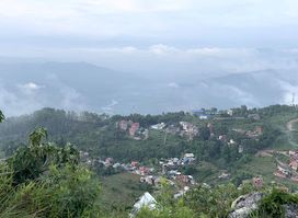 Thani mai