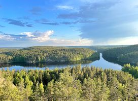 Mustalampivuori view tower