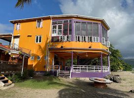 Purple Turtle Beach Club