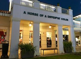 A Horse of A Different Color