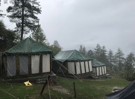 Auli Woods - luxury camping in Auli Himalayas!
