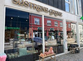 Søstrene Grene