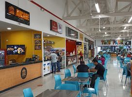 Outlet del bosque