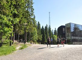 Koli National Park