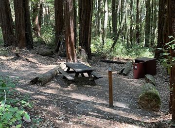 california/redwood-national-and-state-parks/shop/portola-redwoods-state-park