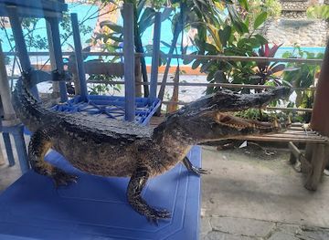 bolivia/yungas-road/shop/caranavi