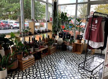 north-carolina/charlotte/shop/charlotte-collective