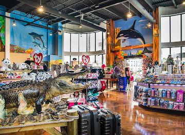 florida/orlando/shop/treasure-island-gift-shop