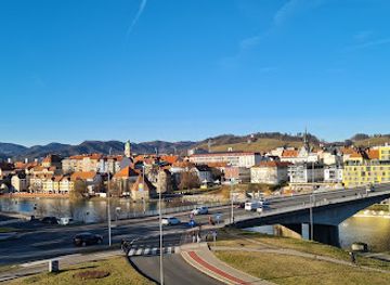 slovenia/drava/shop/teta-frida