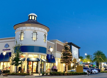 florida/gainesville/shop/agapanthus-gainesville