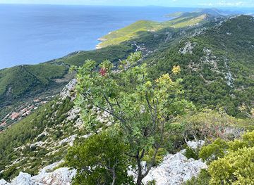 croatia/mljet-island/shop/veliki-grad