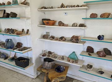 arizona/petrified-forest-national-park/shop/petrified-wood-direct