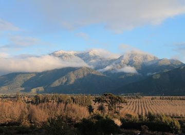 chile/central-valley/shop/las-araucarias-vineyard