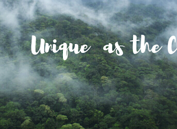 costa-rica/monteverde/shop/monteverde-natural-cosmetics